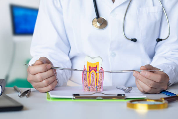 Best Pediatric Emergency Dentist in Plains, KS